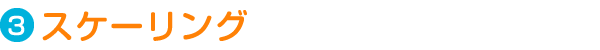 Step3. スケーリング